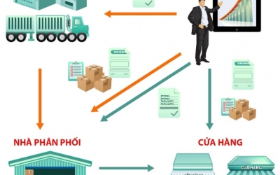 Quy trình xây dựng kênh phân phối gạo sạch gạo hữu cơ 